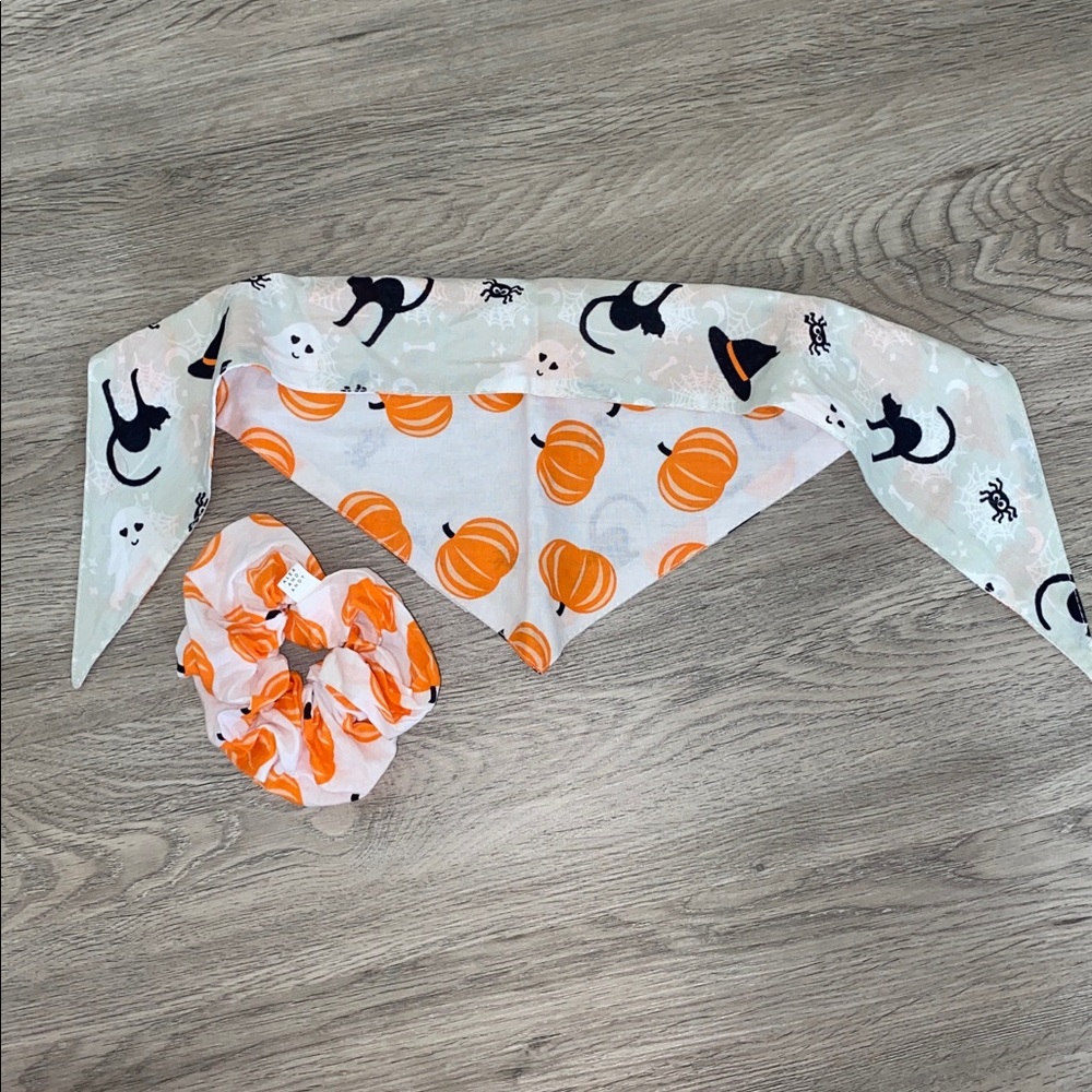 Alex and Andy Fall & Halloween Pet Bandana and matching Pumpkin Scrunchie